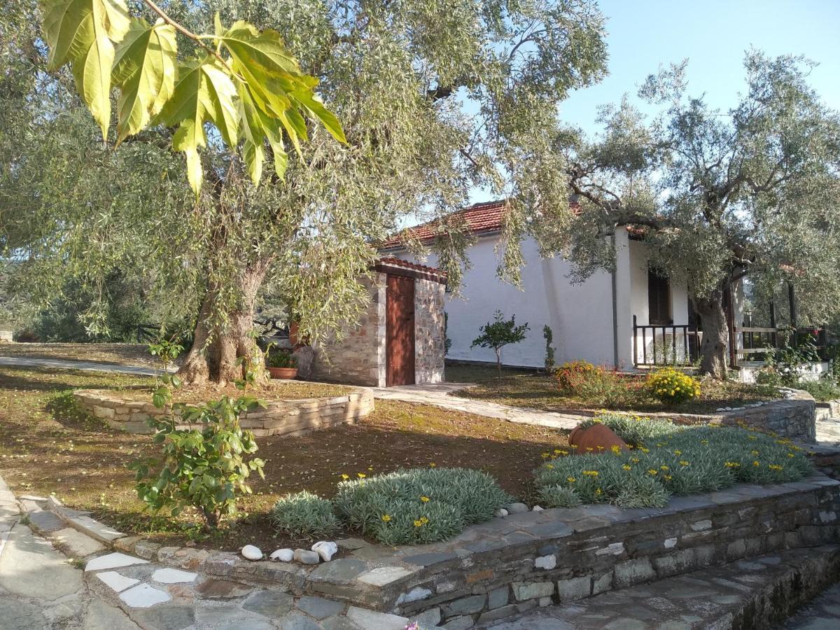 Villa Saint Andrews Bay Milina Exterior foto